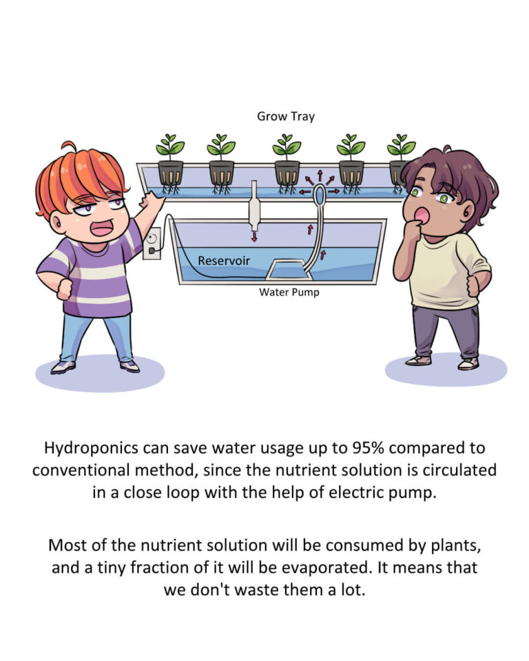 Hydroponic can save water usage up to 95%