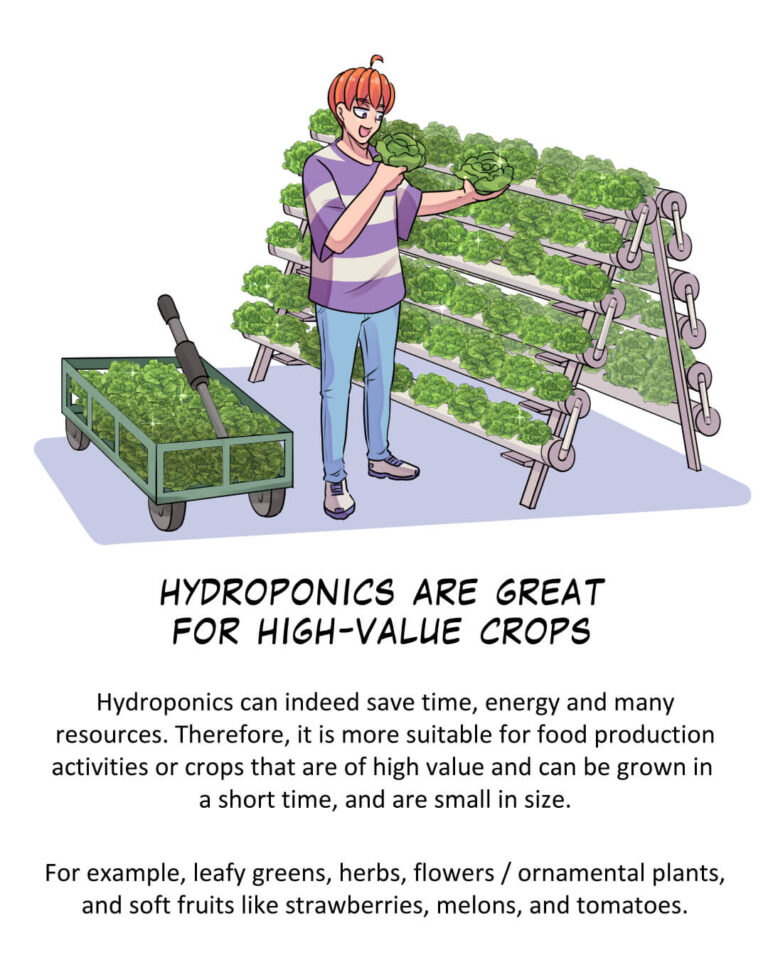 Hydroponics are great for high-value crops