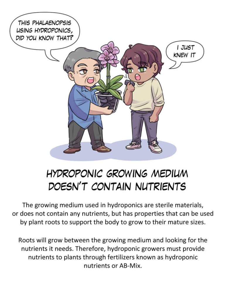 hydroponic growing medium doesn't contain nutrients