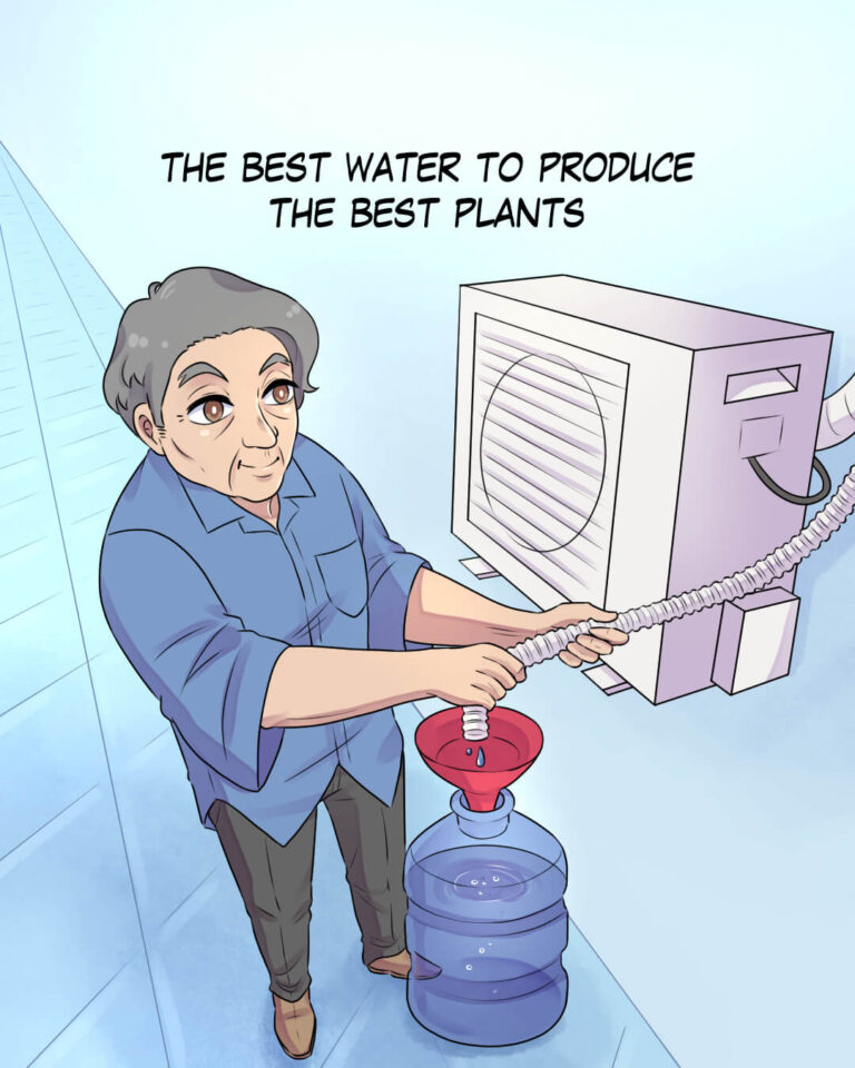 The Best Water for Hydroponics