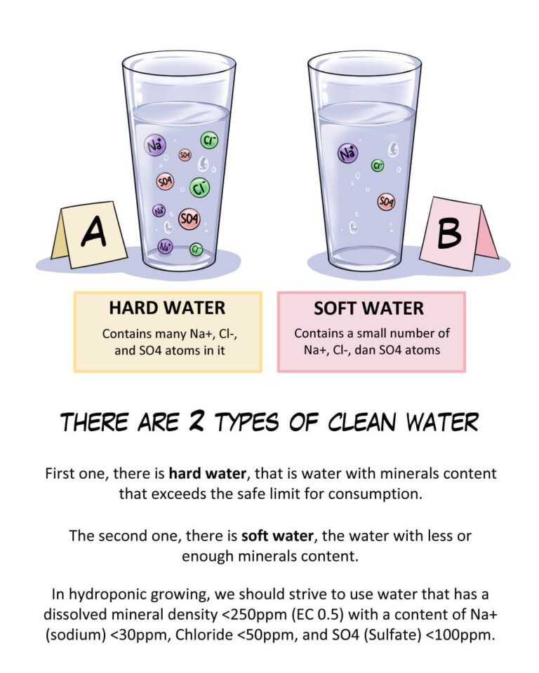 water metrics for hydroponics: hard water vs soft water