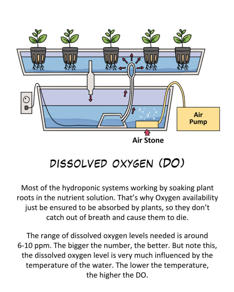 water metrics for hydroponics: dissolved oxygen (DO)