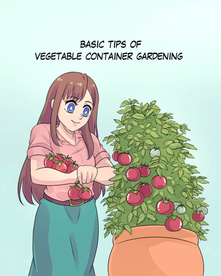 Vegetable Container Gardening Basics
