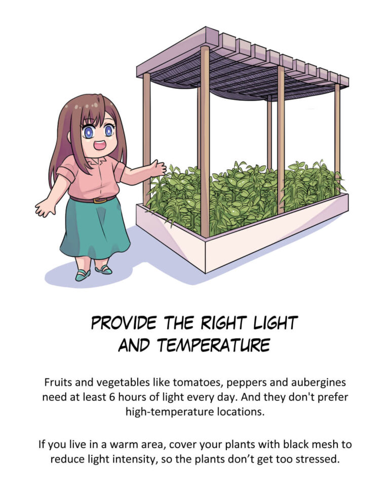 Episode 6: Basic Tips of Vegetables Container Gardening

Provide the Right Light and Temperature

Fruits and vegetables like tomatoes, peppers and aubergines need at least 6 hours of light every day. And they don't prefer high-temperature locations.

If you live in a warm area, cover your plants with black mesh to reduce light intensity, so the plants don’t get too stressed.
