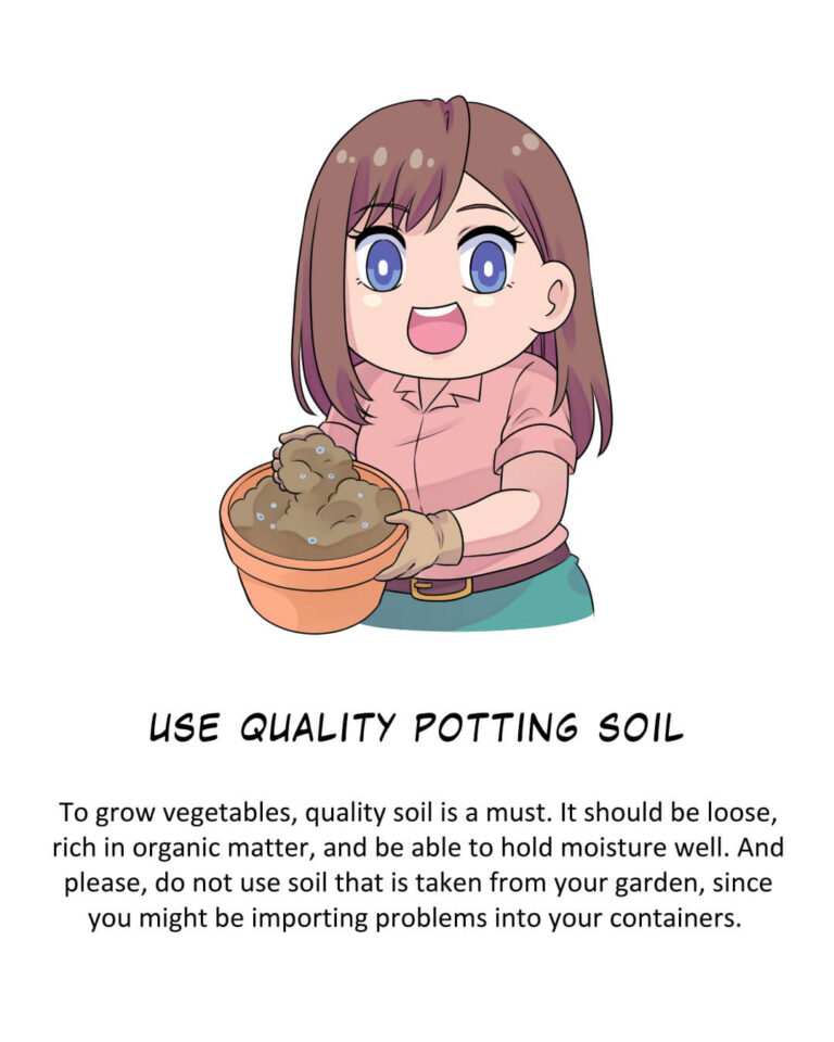 Episode 6: Basic Tips of Vegetables Container Gardening

Use Quality Potting Soil

To grow vegetables, quality soil is a must. It should be loose, rich in organic matter, and be able to hold moisture well. And please, do not use soil that is taken from your garden, since you might be importing problems into your containers. 
