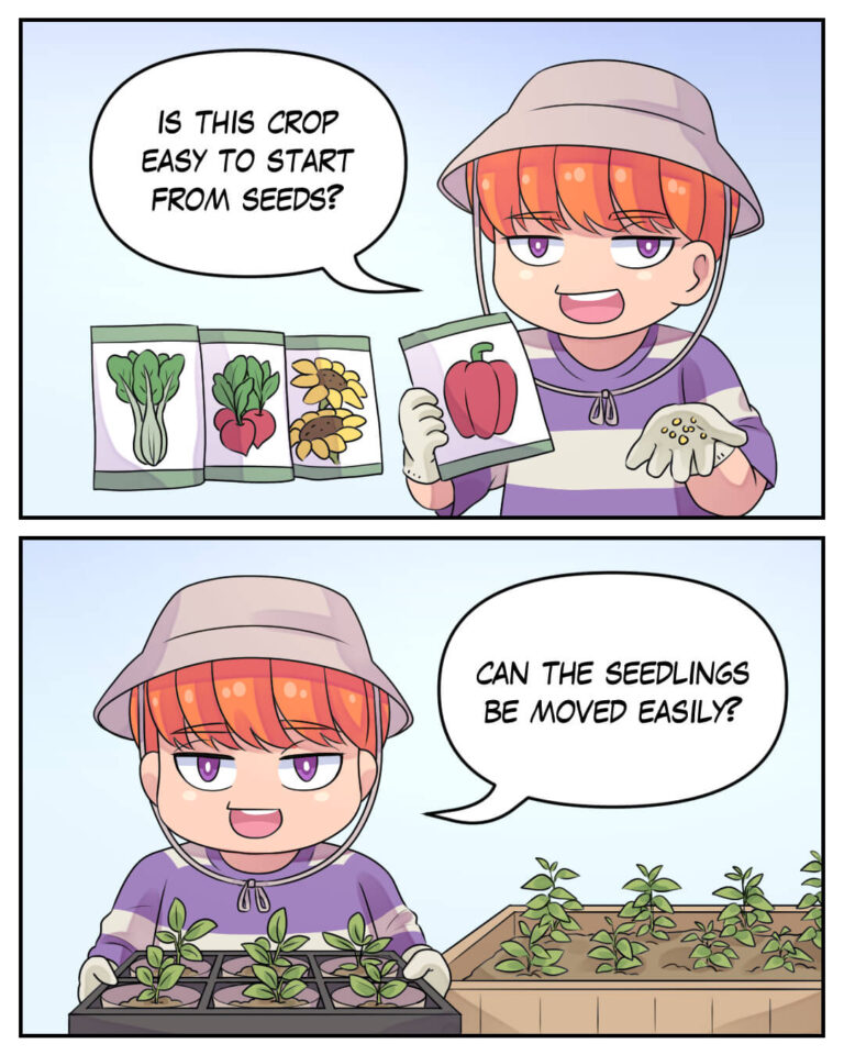 Episode 7: Starting from Seeds or Seedlings?

Is this crop easy to start from seeds?

Can the seedlings be moved easily?