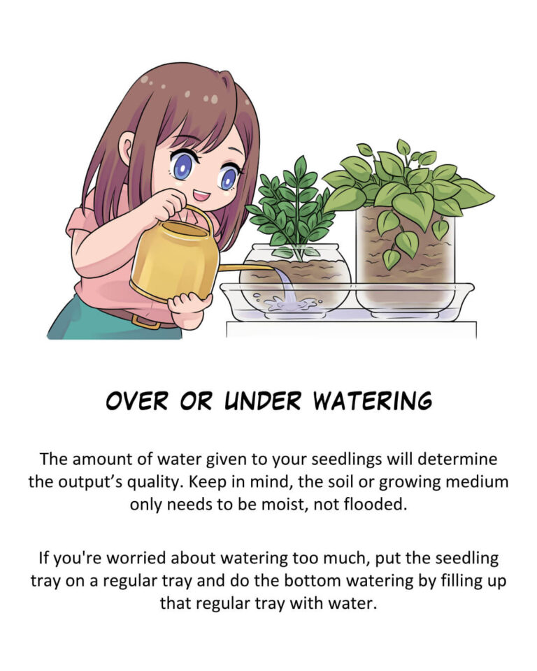 Common Mistakes When Starting from Seeds

Over or Under Watering

The amount of water given to your seedlings will determine the output’s quality. Keep in mind, the soil or growing medium only needs to be moist, not flooded.

If you're worried about watering too much, put the seedling tray on a regular tray and do the bottom watering by filling up that regular tray with water.
