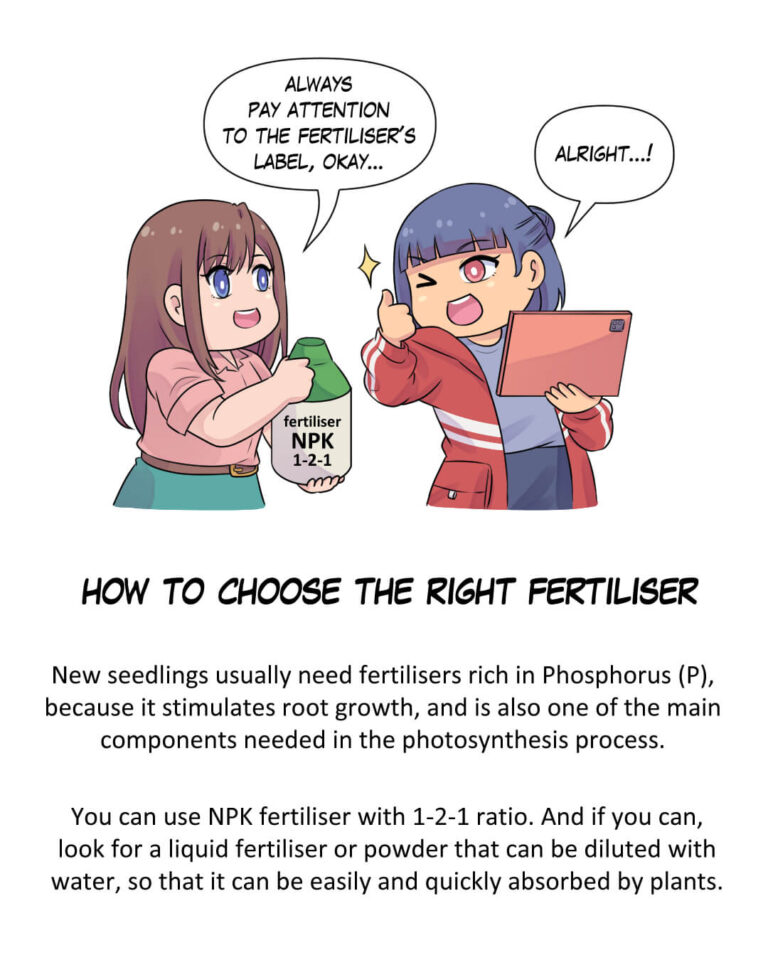 How to choose the right fertiliser

New seedlings usually need fertilisers rich in Phosphorus (P), because it stimulates root growth, and is also one of the main components needed in the photosynthesis process.

You can use NPK fertiliser with a 1-2-1 ratio. And if you can, look for a liquid fertiliser or powder that can be diluted with water, so that it can be easily and quickly absorbed by plants.

Padma:
Always pay attention to the fertiliser’s label, okay?

Zahra:
Alright!
