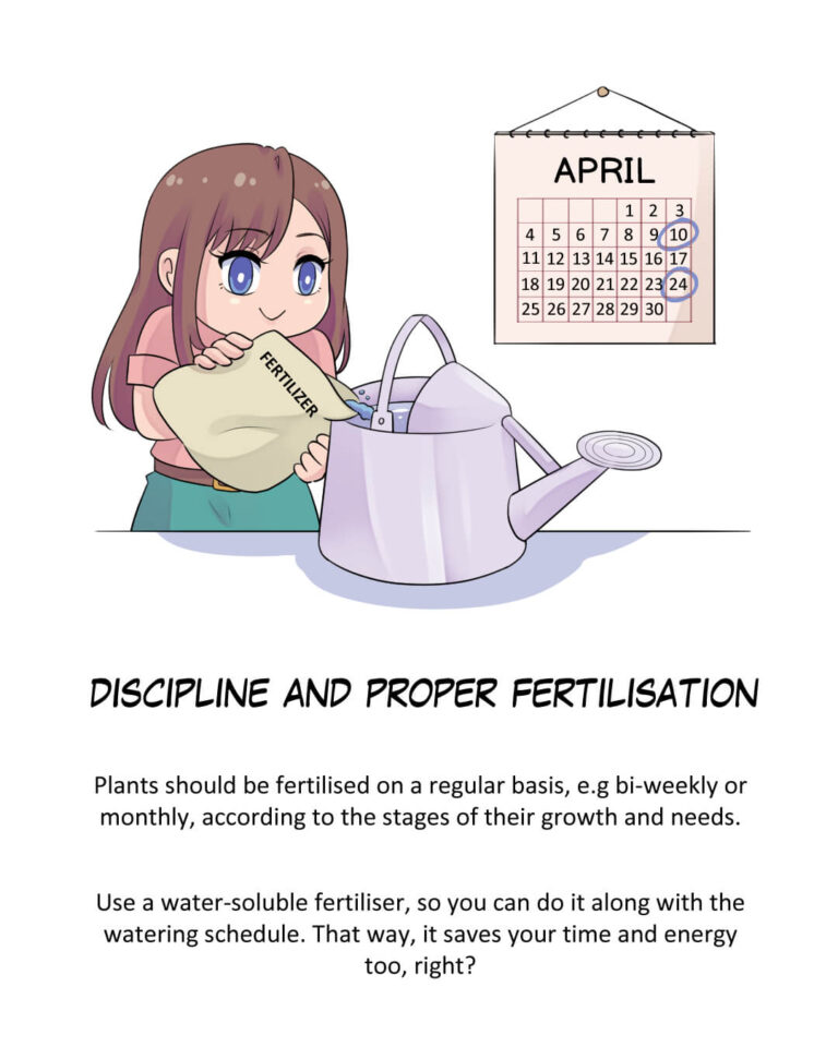 Discipline and Proper Fertilisation

Teks:
Plants should be fertilised on a regular basis, e.g bi-weekly or monthly, according to the stages of their growth and needs.

Use a water-soluble fertiliser, so you can do it along with the watering schedule. That way, it saves your time and energy too, right?
