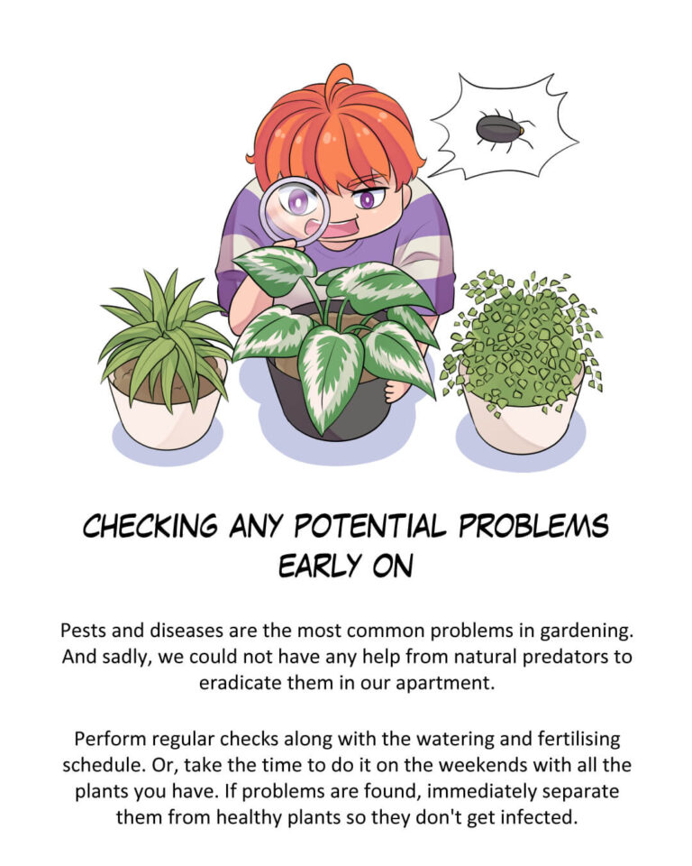 Checking Any Potential Problems Early On

Teks:
Pests and diseases are the most common problems in gardening. And sadly, we could not have any help from natural predators to eradicate them in our apartment.

Perform regular checks along with the watering and fertilising schedule. Or, take the time to do it on the weekends with all the plants you have. If problems are found, immediately separate them from healthy plants so they don't get infected.
