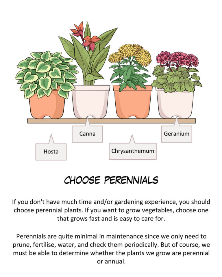 Choose Perennials

If you don't have much time and/or gardening experience, you should choose perennial plants. If you want to grow vegetables, choose one that grows fast and is easy to care for.

Perennials are quite minimal in maintenance since we only need to prune, fertilise, water, and check them periodically. But of course, we must be able to determine whether the plants we grow are perennial or annual.
