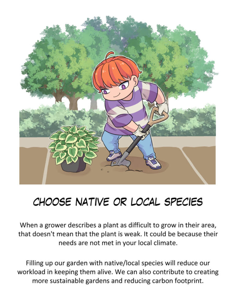 Choose Native or Local Species

When a grower describes a plant as difficult to grow in their area, that doesn't mean that the plant is weak. It could be because their needs are not met in your local climate.

Filling up our garden with native/local species will reduce our workload in keeping them alive. We can also contribute to creating more sustainable gardens and reducing carbon footprint.

