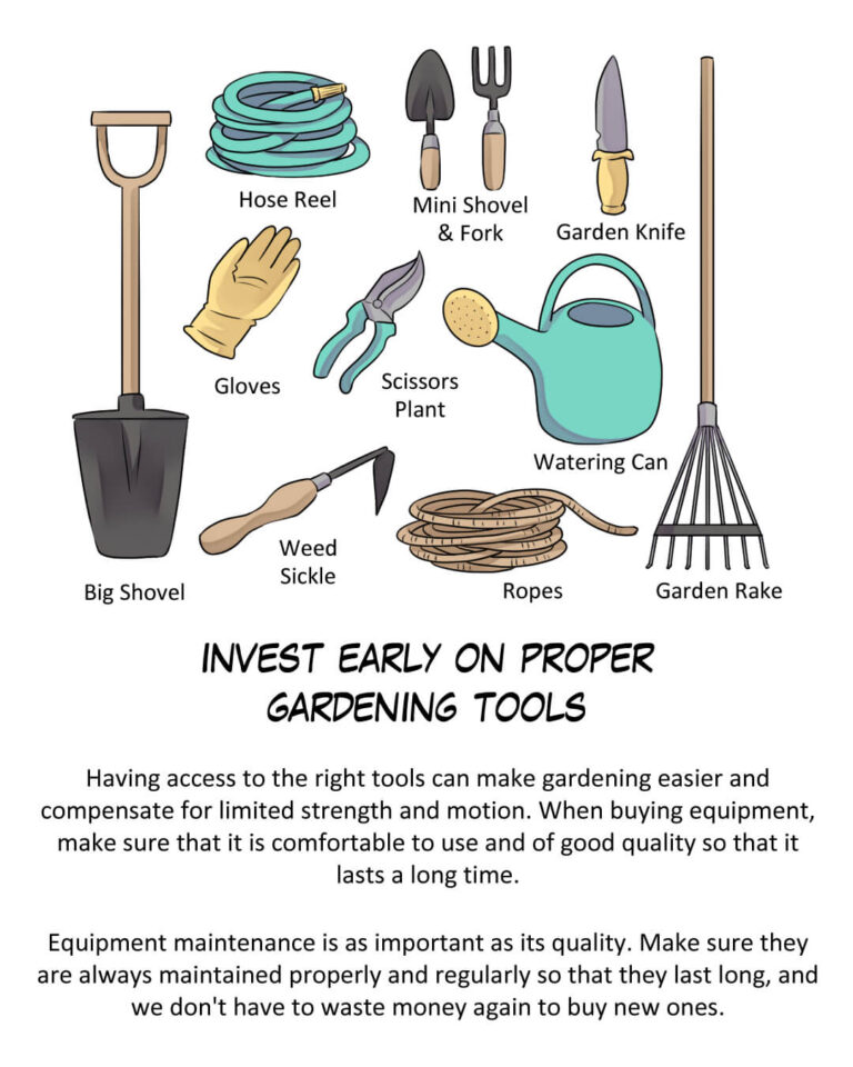 Invest Early on Proper Gardening Tools

Having access to the right tools can make gardening easier and compensate for limited strength and motion. When buying equipment, make sure that it is comfortable to use and of good quality so that it lasts a long time.

Equipment maintenance is as important as its quality. Make sure they are always maintained properly and regularly so that they last long, and we don't have to waste money again to buy new ones.
