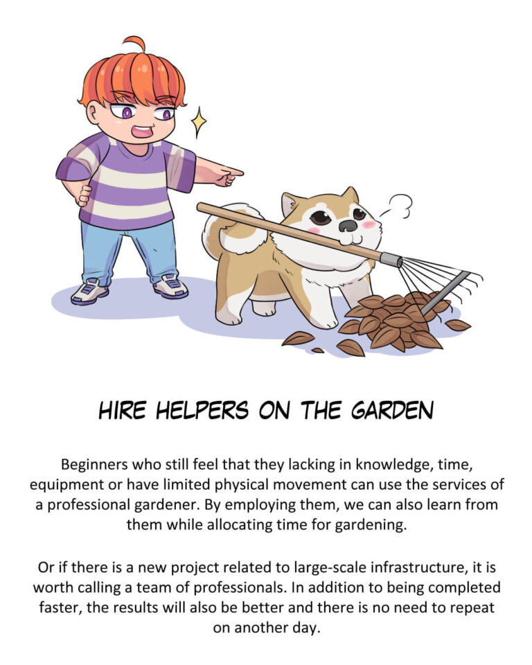 Hire Helpers on The Garden

Beginners who still feel that they lacking in knowledge, time, equipment or have limited physical movement can use the services of a professional gardener. By employing them, we can also learn from them while allocating time for gardening.

Or if there is a new project related to large-scale infrastructure, it is worth calling a team of professionals. In addition to being completed faster, the results will also be better and there is no need to repeat on another day.
