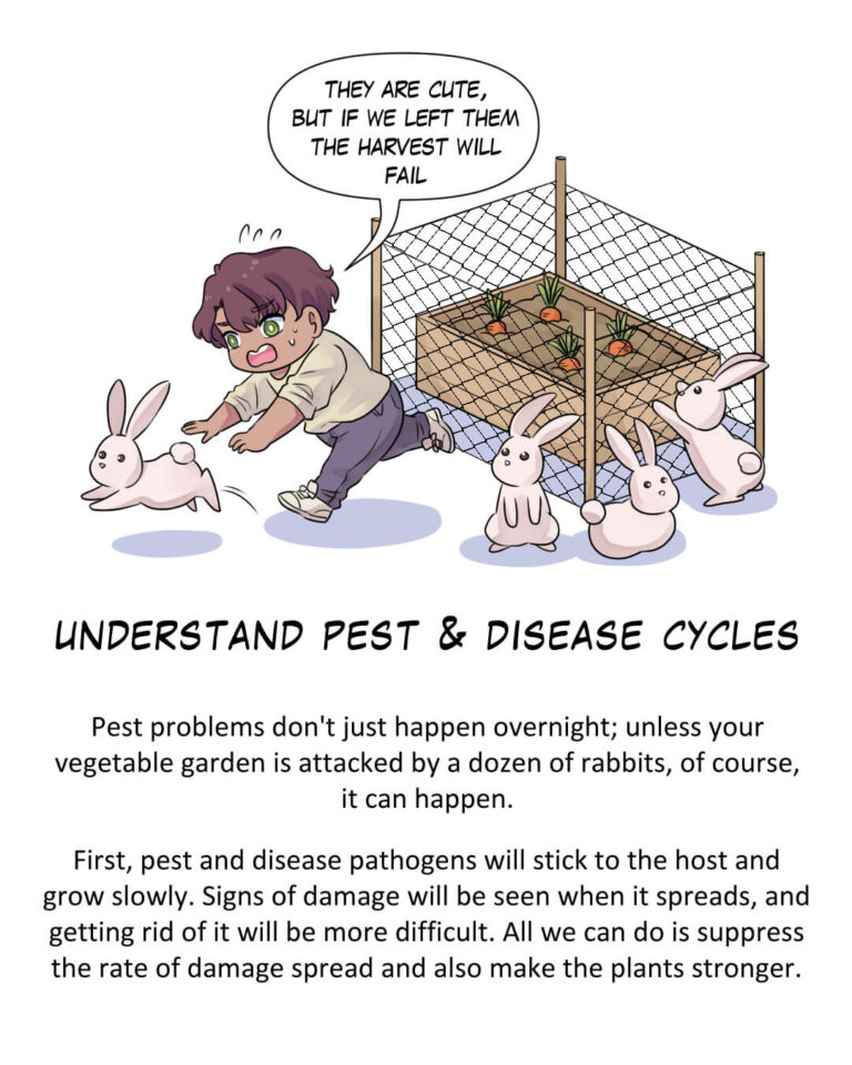 Understand Pest & Disease Cycles

Pest problems don't just happen overnight; unless your vegetable garden is attacked by a dozen of rabbits, of course, it can happen.

First, pest and disease pathogens will stick to the host and grow slowly. Signs of damage will be seen when it spreads, and getting rid of it will be more difficult. All we can do is suppress the rate of damage spread and also make the plants stronger.
