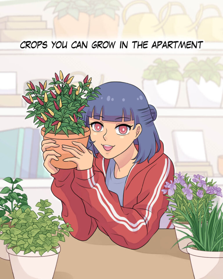 Crops You Can Grow in the Apartment