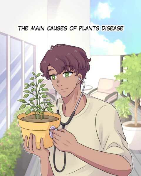Main Causes of Plant Diseases