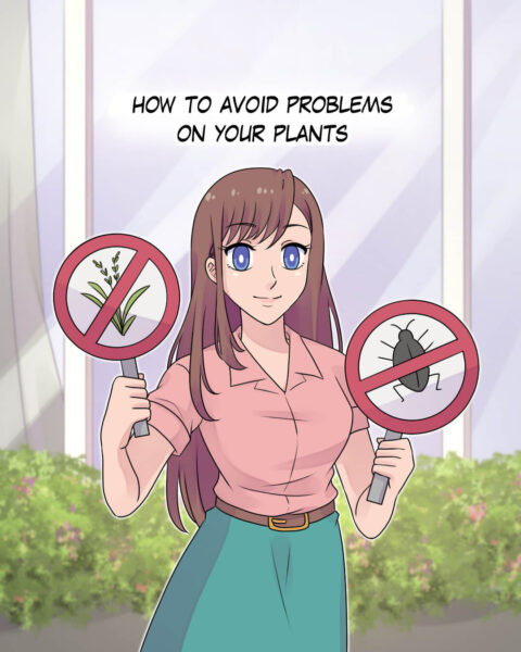 How to Avoid Problems on Your Plants